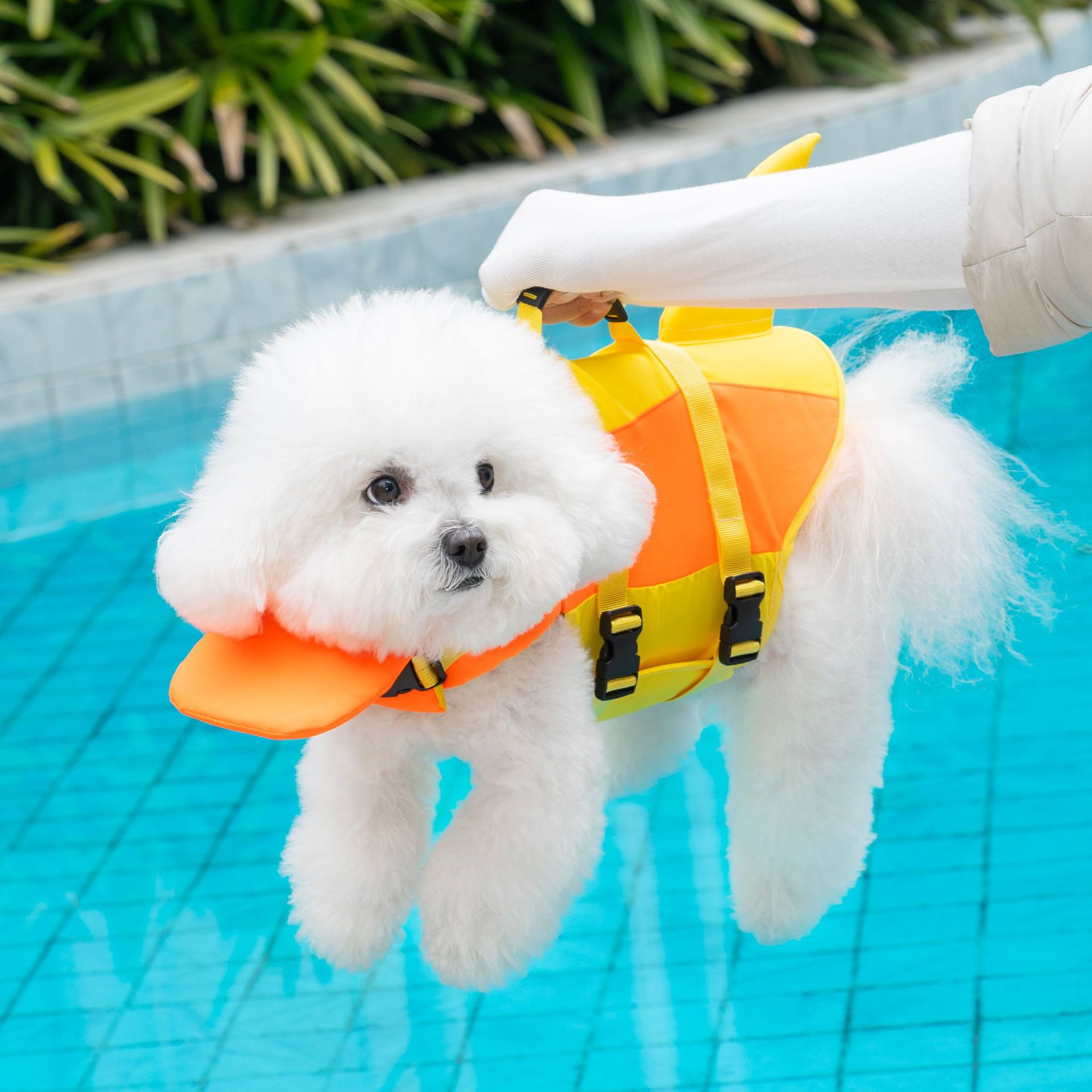 Dog Life Jacket - Cute Shark Dog Life Jacket with