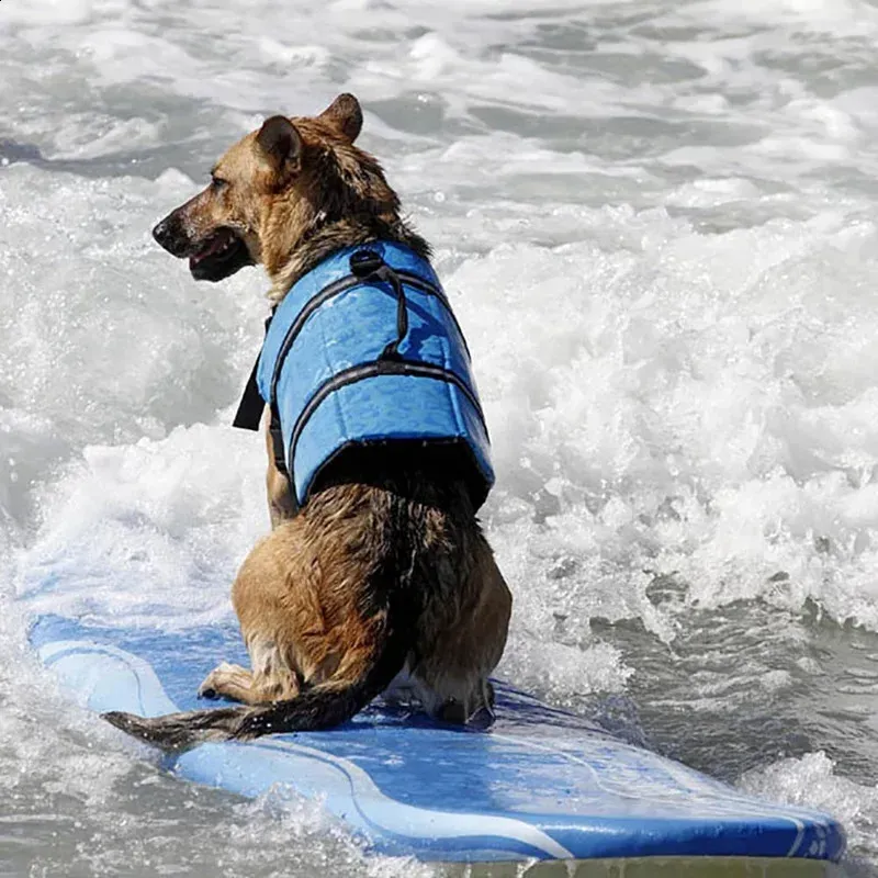 Summer Dog Life Vest Jacket Re - Dog Life Jacket 리뷰 및 가격