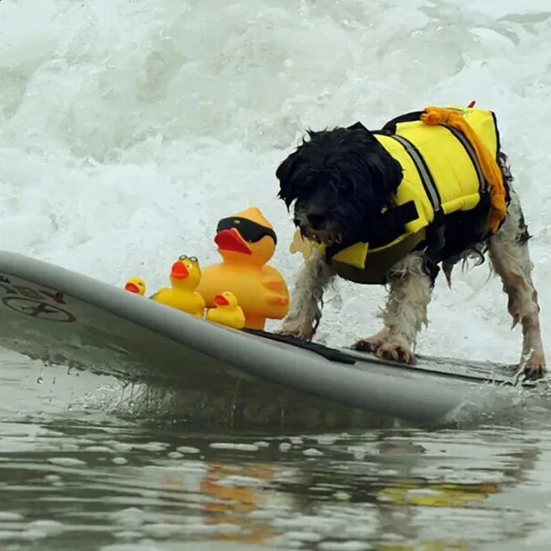 Summer Dog Life Vest Jacket Re - Dog Life Jacket 리뷰 및 가격