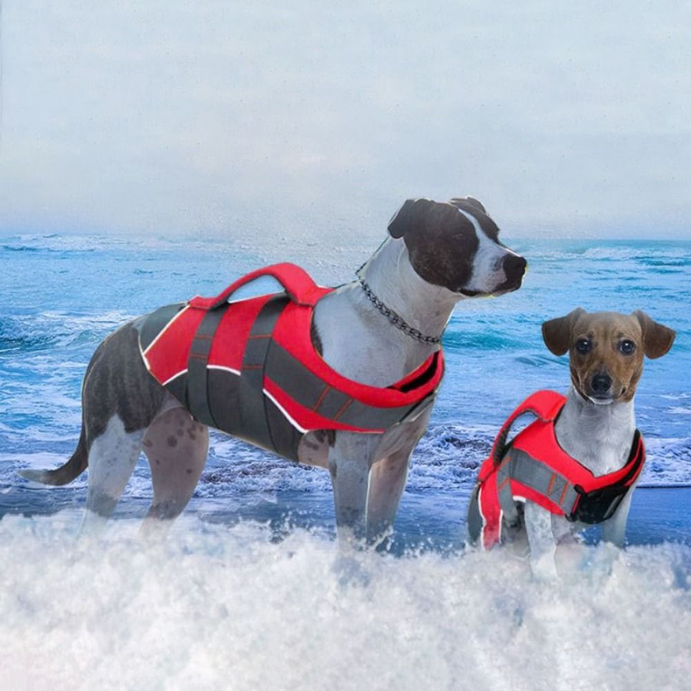 Reflective Dog Life Jacket Bre - Dog Life Jacket 리뷰 및 가격