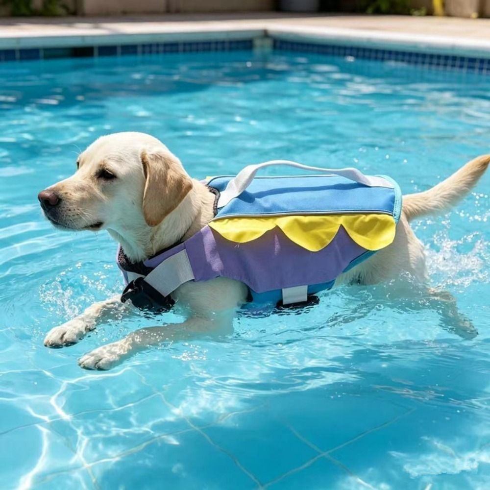 Enhanced Buoyancy Dog Life Jac - Dog Life Jacket 리뷰 및 가격