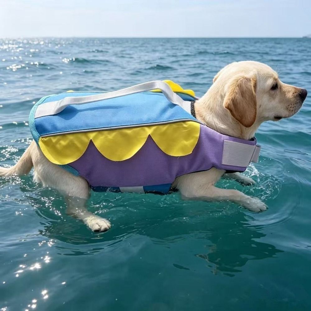 Enhanced Buoyancy Dog Life Jac - Dog Life Jacket 리뷰 및 가격