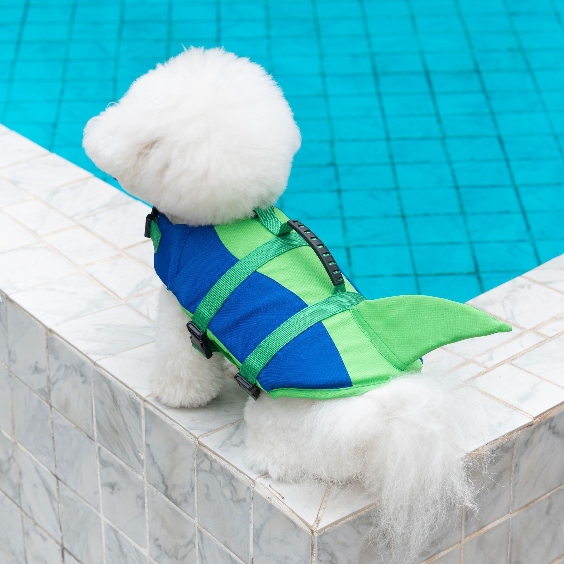 Cute Shark Dog Life Jacket wit - Dog Life Jacket 리뷰 및 가격