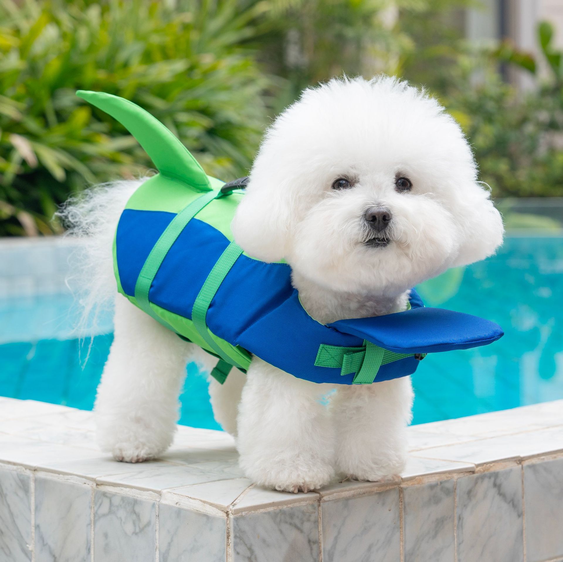 Cute Shark Dog Life Jacket wit - Dog Life Jacket 리뷰 및 가격