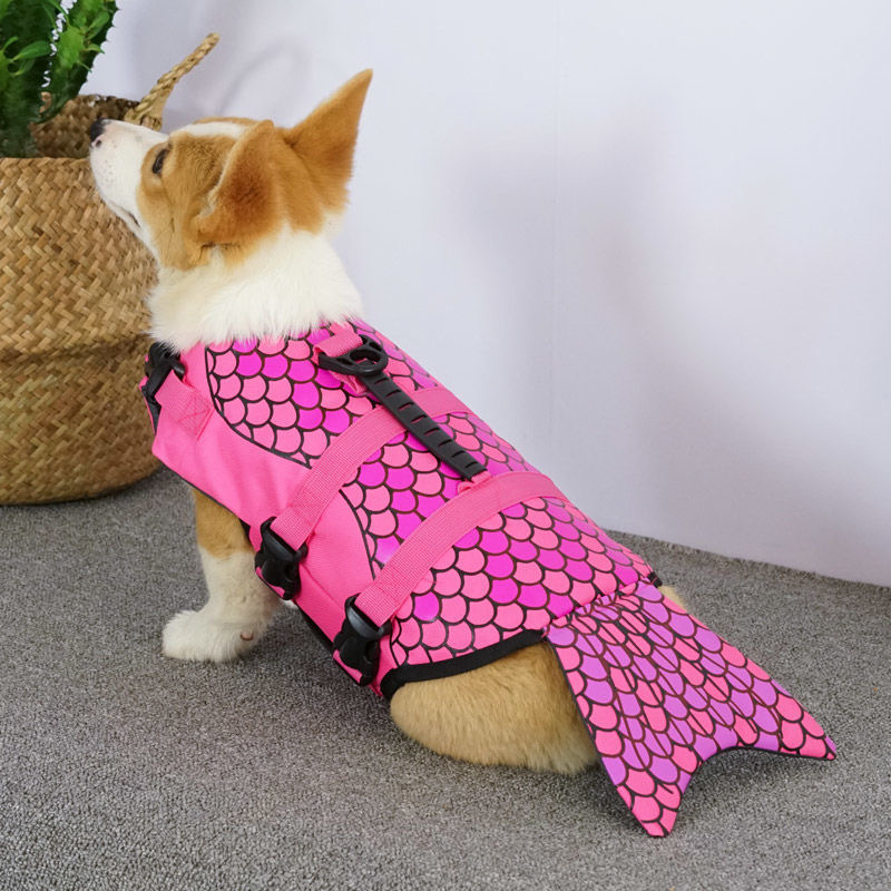 Summer Puppy Big Dog Swimsuit  - Dog Life Jacket 리뷰 및 가격