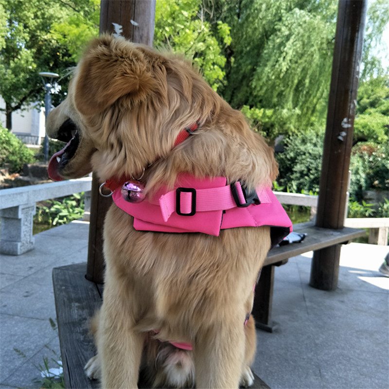 Summer Puppy Big Dog Swimsuit  - Dog Life Jacket 리뷰 및 가격