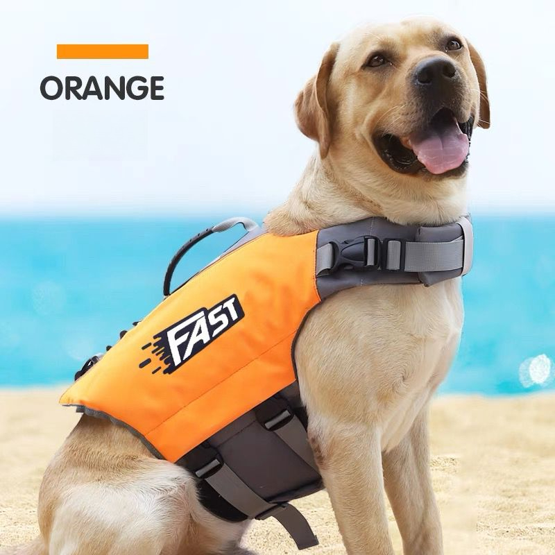 Pet Swimming Life Jacket Summe - Dog Life Jacket 리뷰 및 가격