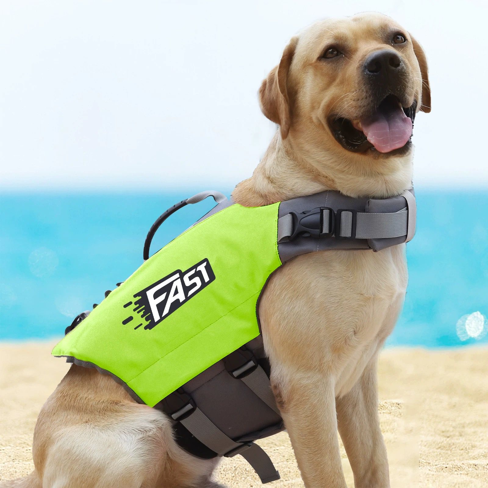 Pet Swimming Life Jacket Summe - Dog Life Jacket 리뷰 및 가격
