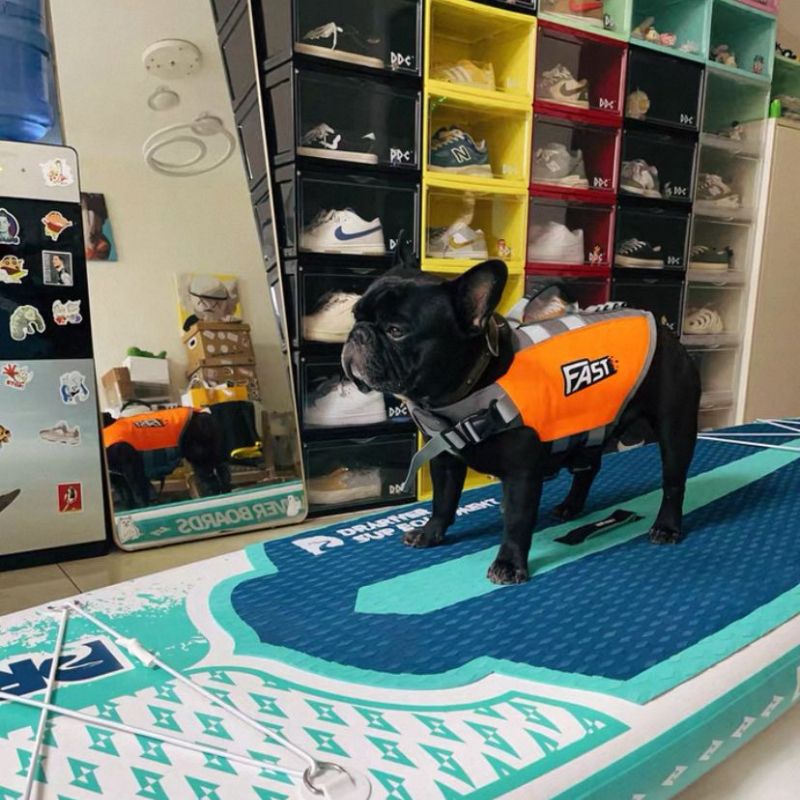 Pet Swimming Life Jacket Summe - Dog Life Jacket 리뷰 및 가격
