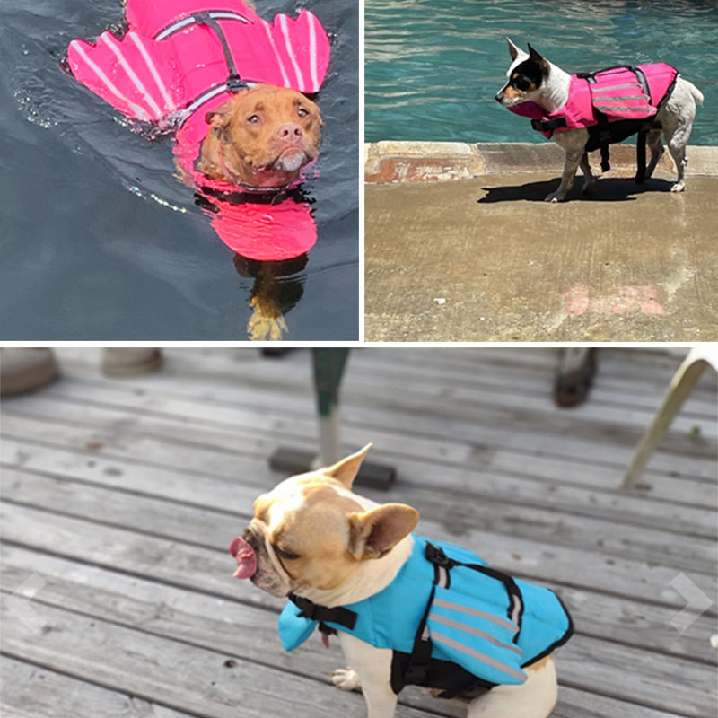 Dog Life Jacket Reflective Adj - Dog Life Jacket 리뷰 및 가격